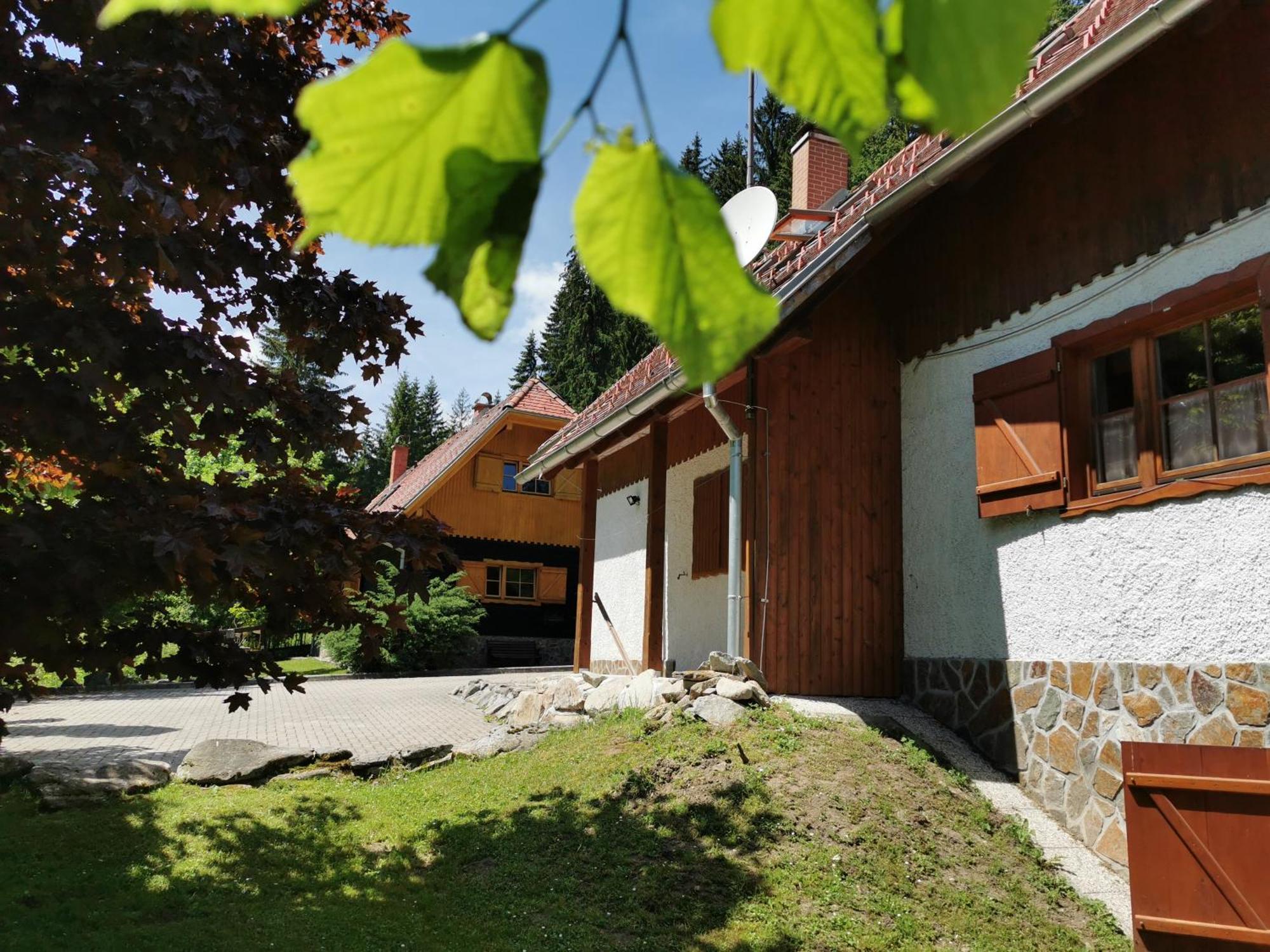 Oplotnica Pohorje House 2 Four Appartmetns חדר תמונה